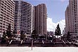 Surfers Paradise photo