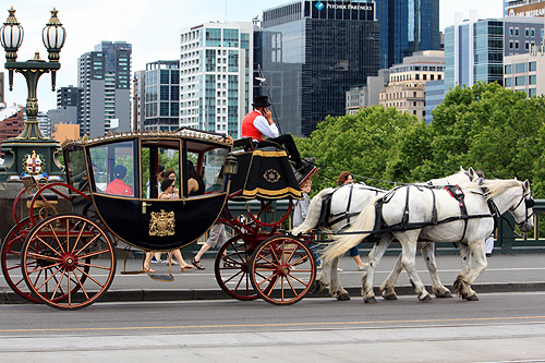 Antique Victorian Carriages of Melbourne photo