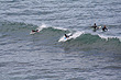 Bells Beach Surfers photo