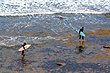 Two Surfers photo