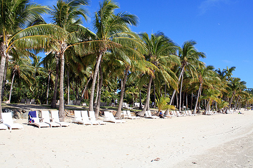 Hamilton Island photos