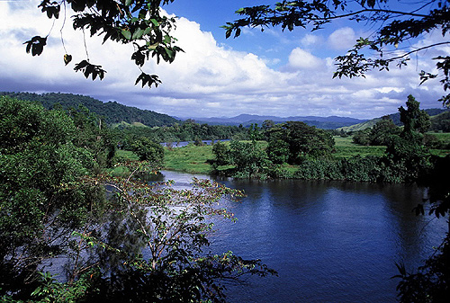 Daintree River photo