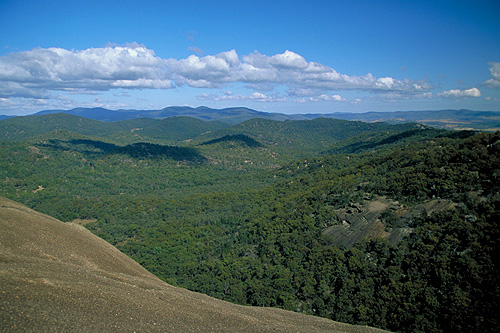 Girraween National Park photos