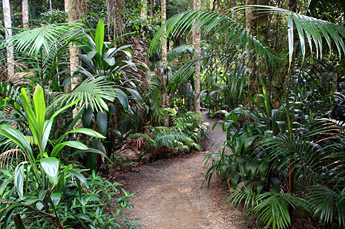 Tamborine National Park photos