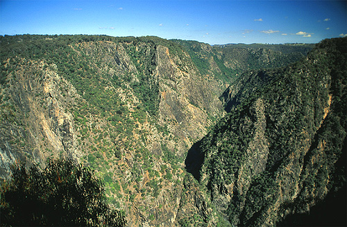 Wollomombi Gorge photo