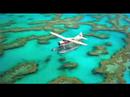 Great Barrier Reef video
