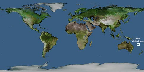  World  on World Map Showing New Caledonia