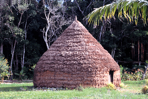 Cultures in Oceania photos