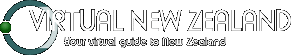 Virtual New Zealand logo