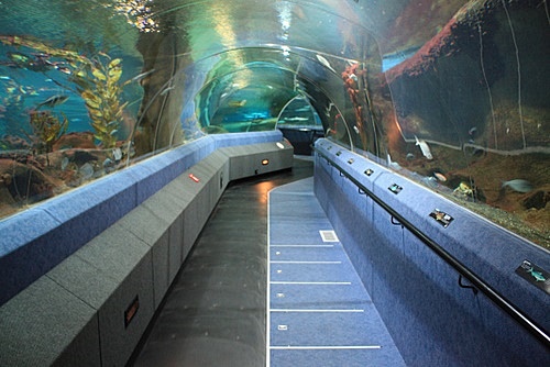 National Aquarium of New Zealand photo