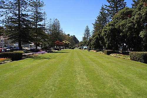A Waterfront Park in Napier photo