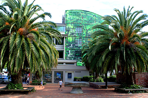 Trafalgar Street & Selwyn Place photo