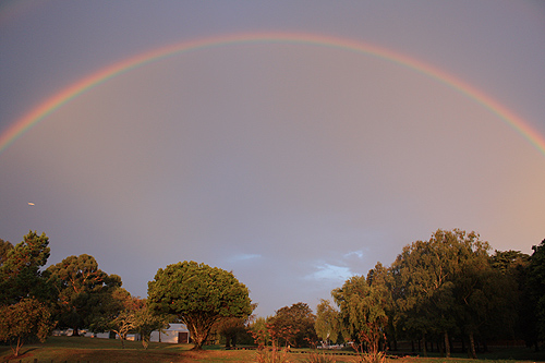 Rainbow in Rotorua photo