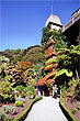 Wellington Botanical Garden photos