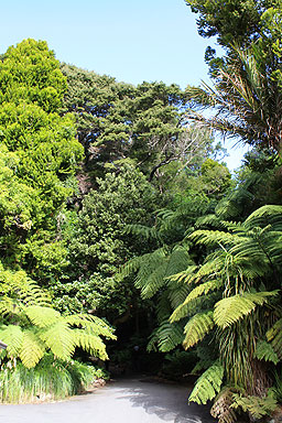 NEXT Native Flora photo