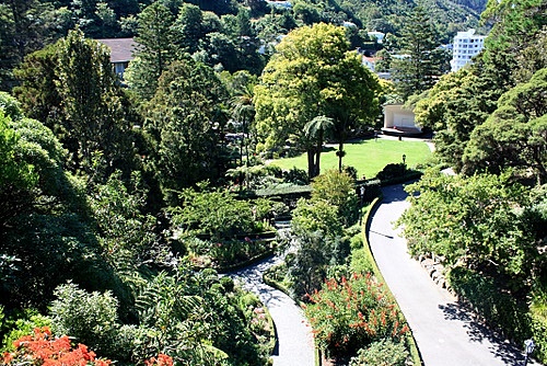 NEXT Wellington Botanic Gardens photo