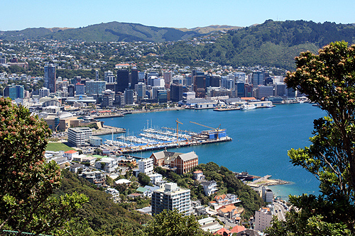 Wellington City View photo