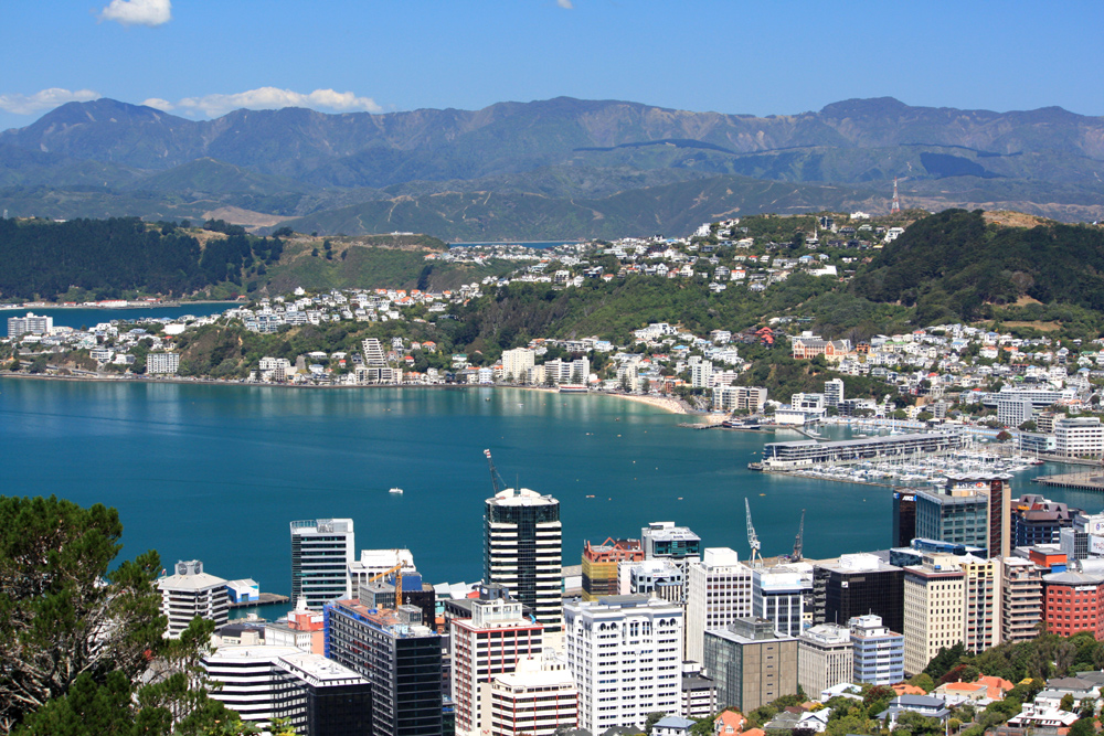 Wellington City from Northland photo