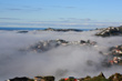 Wellington Fog photo