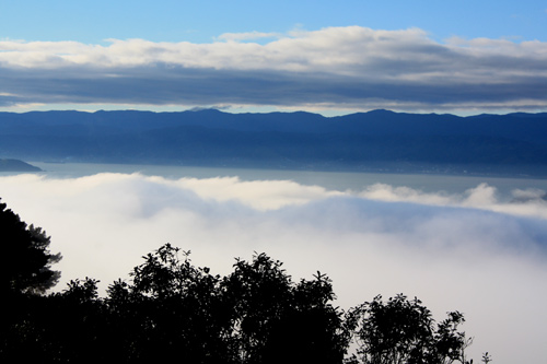 Wellington City Hidden in Fog photo