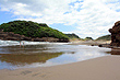 Northern View of Bethells Beach photo