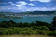 Wellington Harbour photo