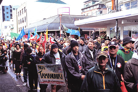 Maori Protestors photo