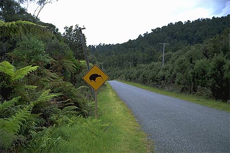 Kiwi Road Sign photo