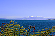 Northern Lake Taupo photo