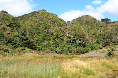 Waitakere Ranges photos