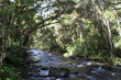 Mangawhero River photos