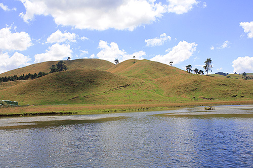Waikato River View & Farmland photo
