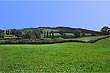 Farmland