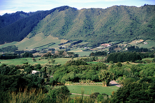 Kapiti photo