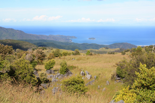 Takaka Hill View photo