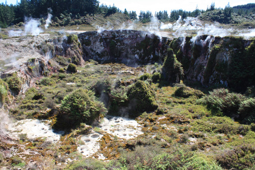 Thermal Crater with Vegetation photo
