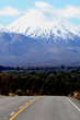 Highway 47 Tongariro National Park photo
