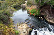 River in Te Puia Reserve photo