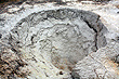 Te Puia Mud Crater photo