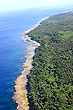 Coastal Vegetation photo