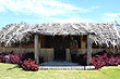 Old Tonga Fale photo