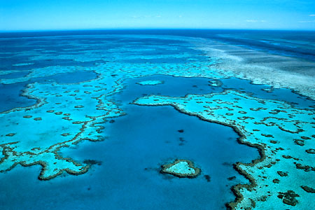 Great Barrier Reef photo