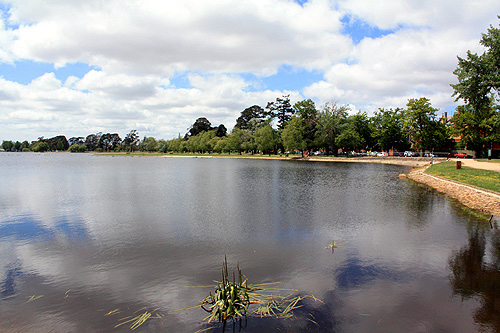 Lake Wendouree photo