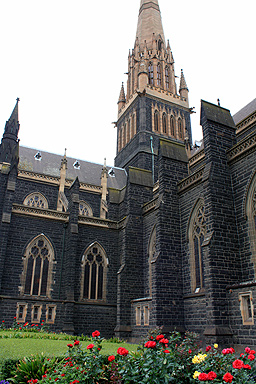 St Patrick's Cathedral Melbourne photo