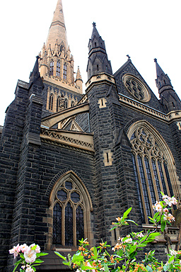 St Patrick's Cathedral Melbourne photo