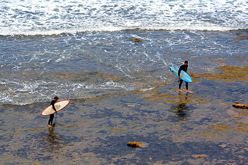 Bells Beach Surfers photo