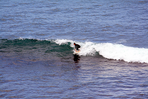 Bells Beach Surfer photo