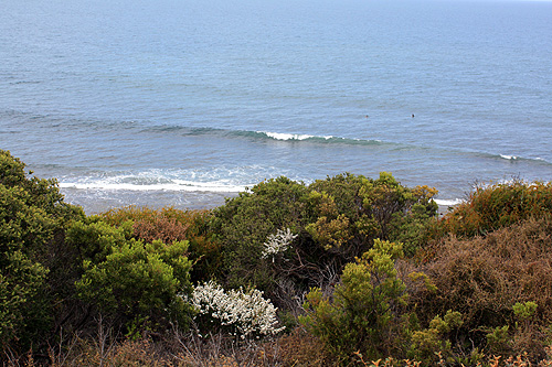 Bells Beach View photo