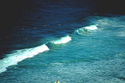 Byron Bay Surf photo