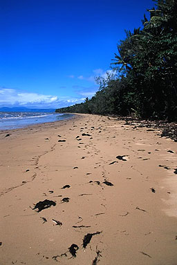 Ellis Beach photo